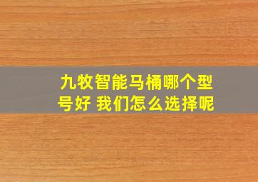 九牧智能马桶哪个型号好 我们怎么选择呢